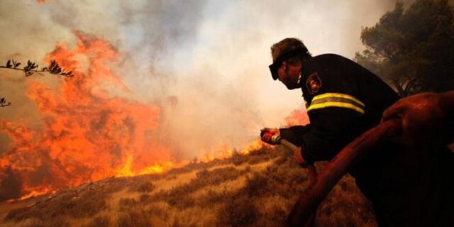 Ηλικιωμένος βοσκός κατηγορείται για 85 φωτιές στον Ταΰγετο