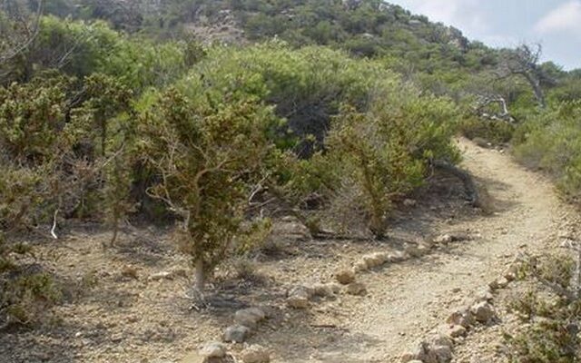 Πτώμα άνδρα βρέθηκε στη Γαύδο