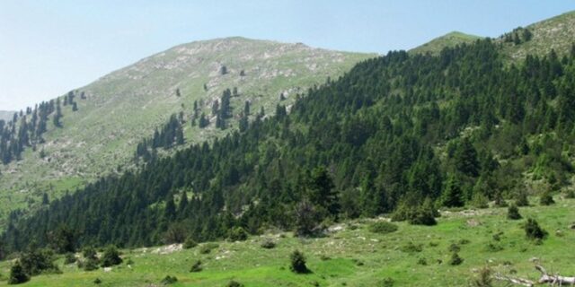 Τραγωδία στη Ναυπακτία: Σκότωσε τον αδερφό του στο κυνήγι