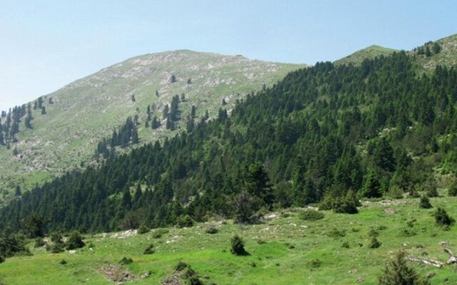 Τραγωδία στη Ναυπακτία: Σκότωσε τον αδερφό του στο κυνήγι