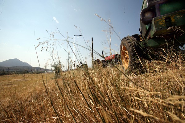 Πράσινο φως από Κομισιόν: 100 εκ. ευρώ για 6.000 νέους αγρότες