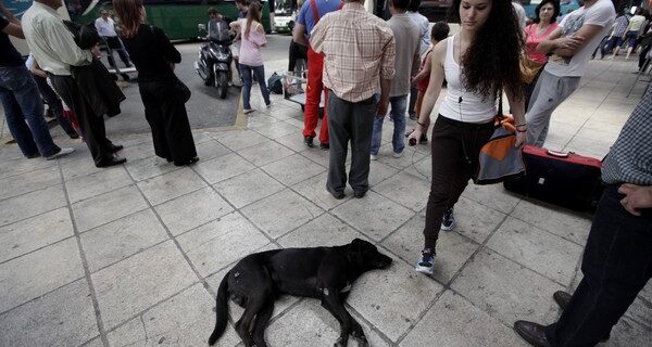 Μειωμένο εισιτήριο για σπουδαστές ΙΕΚ – ΣΕΚ