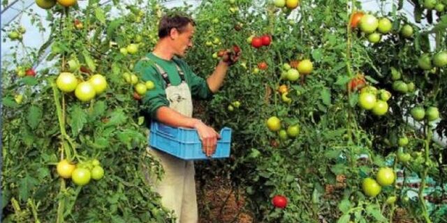 Ενημέρωση νέων αγροτών από ανενημέρωτους