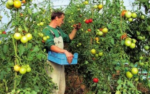 Ενημέρωση νέων αγροτών από ανενημέρωτους