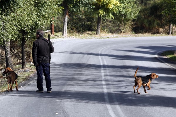 Πότε θα συζητηθεί στο ΣτΕ η απαγόρευση του κυνηγίου σε όλη τη χώρα