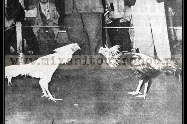 Μηχανή του χρόνου: Μυστικές κοκορομαχίες στην Αθήνα. Ο Μαύρος Χάρος, ο Αθάνατος Πέτρος, ο Μανιάτης κι ο Σκουλαρίκης
