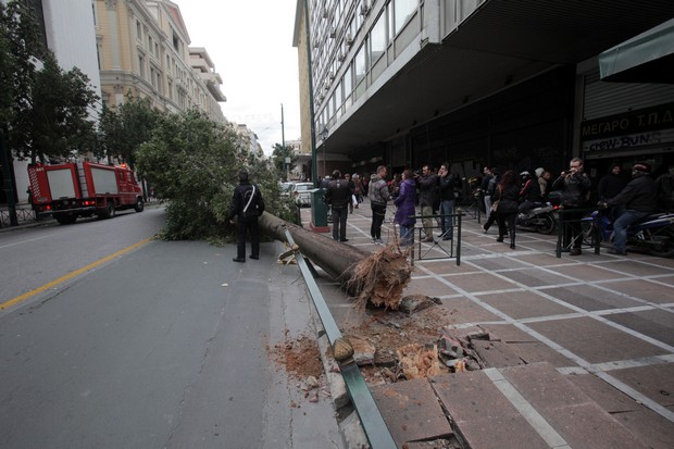 Κόπηκε στα δύο η Σταδίου από πτώση γιγαντιαίου δέντρου