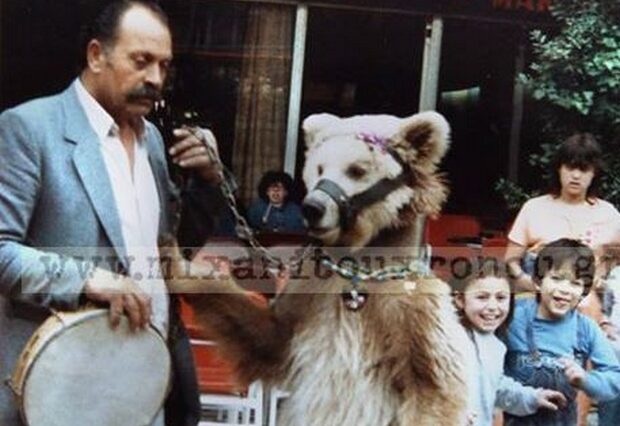 Μηχανή του Χρόνου:Η σύλληψη της αρκούδας στα Εξάρχεια και η φυλάκισή της σε κελί
