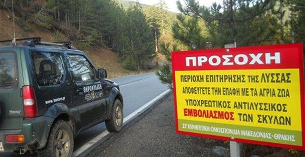 Κίνδυνος για τη δημόσια υγεία από κρούσμα λύσσας στη Θεσσαλονίκη