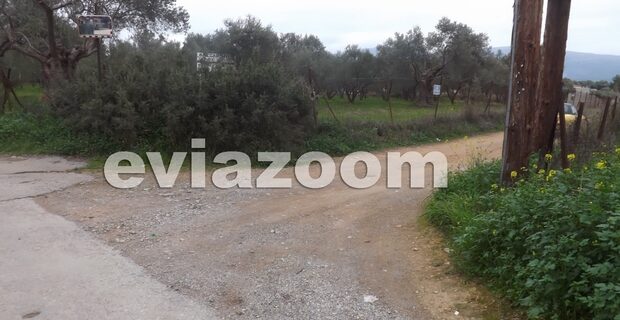Οδηγός σχολικού παράτησε 6χρονο στην ερημιά επειδή βιαζόταν