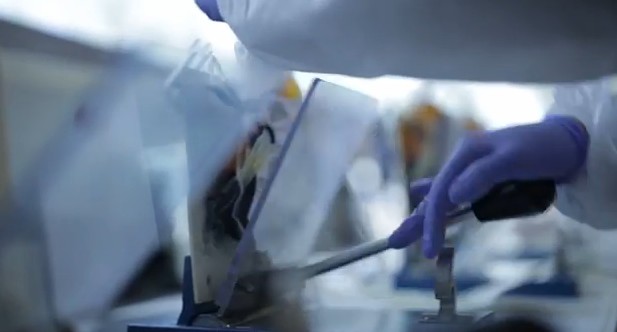 Βίντεο: Καρέ καρέ η δωρεά αίματος και ζωής