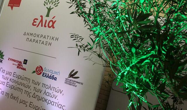 Ελιά: Τα πρώτα ονόματα για το ευρωψηφοδέλτιο