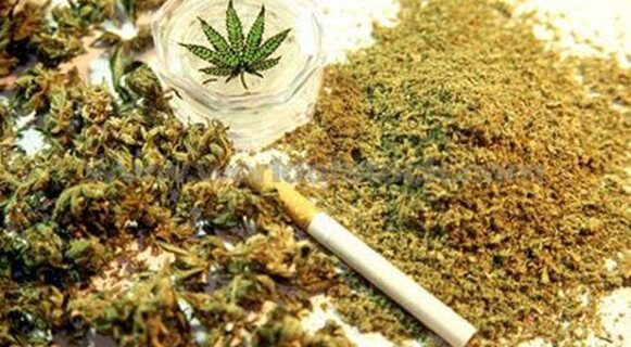 Συναισθήματα και κίνητρα επηρεάζονται από τη μαριχουάνα