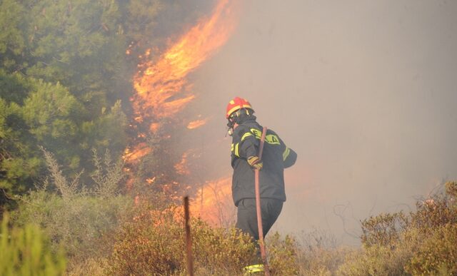 Στις φλόγες για τρίτη ημέρα η Μαλεσίνα – Στις 46 οι φωτιές σε όλη τη χώρα