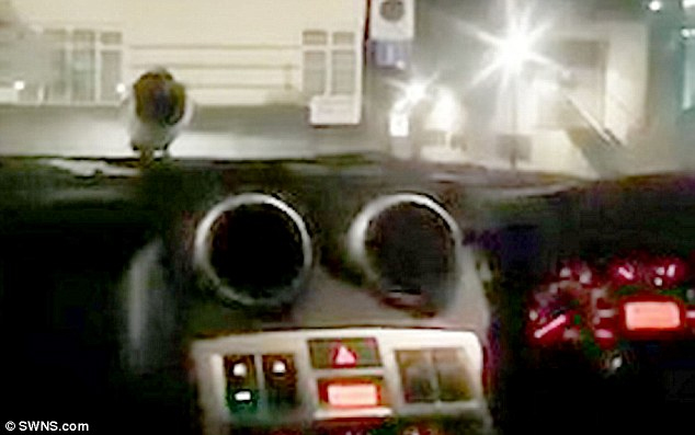 ΒΙΝΤΕΟ. Η καρακάξα που αρνείται πεισματικά να φύγει από τους υαλοκαθαριστήρες