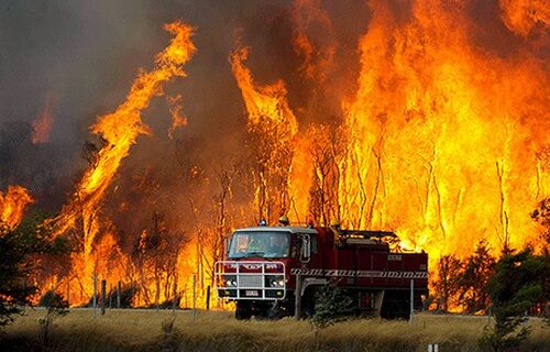 Υπό μερικό έλεγχο η δασική πυρκαγιά στην Λέσβο