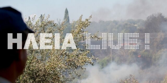 Ηλεία: Η πρώτη μεγάλη πυρκαγιά της χρονιάς – Στάχτη 30 στρέμματα στην Φραγκαβίλα
