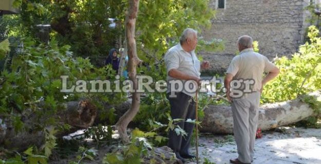 Θρήνος στη Λαμία για τον θάνατο 9χρονου από πτώση δέντρου. Συνελήφθη ο υπεύθυνος του δήμου
