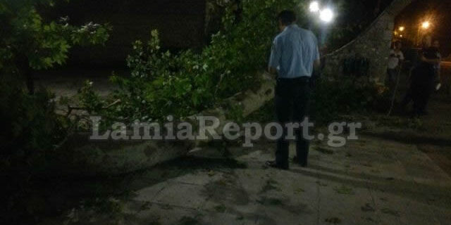 Τραγωδία στη Λαμία: 9χρονο αγοράκι καταπλακώθηκε από πλάτανο