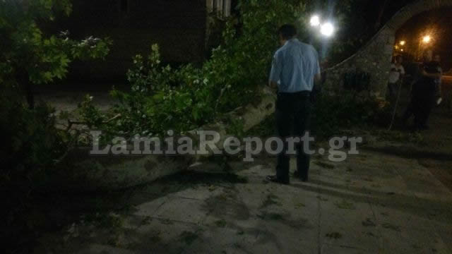 Τραγωδία στη Λαμία: 9χρονο αγοράκι καταπλακώθηκε από πλάτανο