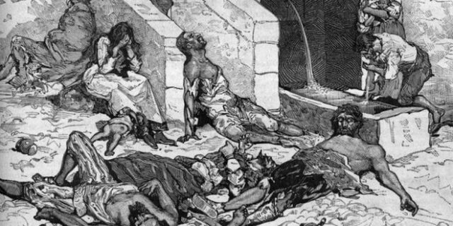 Μηχανή του Χρόνου: Πάπας πίστευε ότι οι γάτες ήταν ο σατανάς. Η μαζική σφαγή και η επιδημία πανούκλας