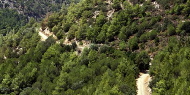 Εξ οικείων τα βέλη κατά της κυβέρνησης για το δασικό νομοσχέδιο