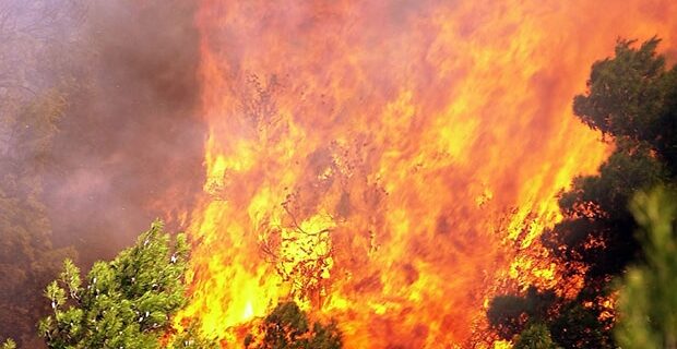 Νέες πυρκαγιές στην Κρήτη. Υπό μερικό έλεγχο η φωτιά στη Σητεία