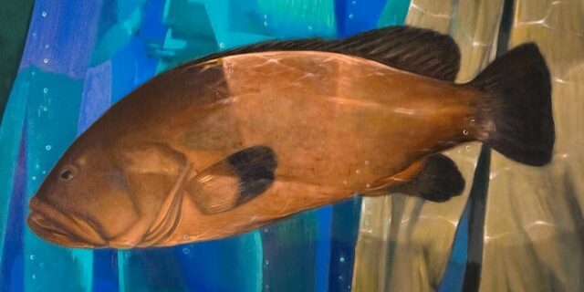 Ο Βλαδίμηρος δεν ήταν μόνο ένα ψάρι