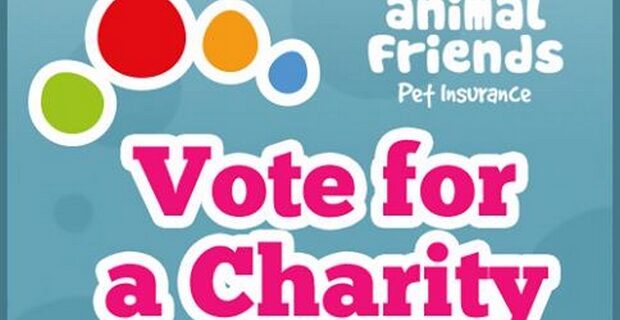 Ψηφίστε Animal Action!