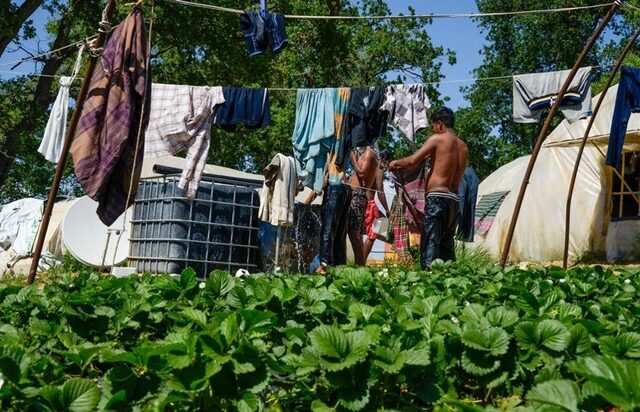 Το ανθρωπιστικό φιάσκο της Μανωλάδας: Όλο το χρονικό μιας δικαστικής αποτυχίας