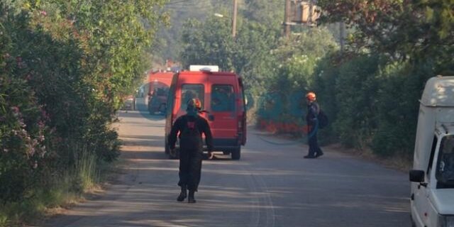 Καλαμάτα: Σε ύφεση, η φωτιά στη Μεσσηνία