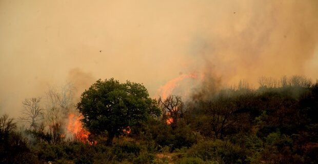 Στις φλόγες δάσος στην Αρκαδία