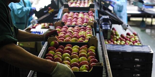Ρωσικό εμπάργκο: Δεν υφίστανται συνέπειες για τους Έλληνες παραγωγούς από το “πάγωμα” των κοινοτικών αποζημιώσεων