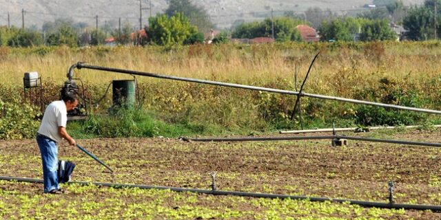 ΕΛΓΑ κατά της γραφειοκρατίας: Νέες υπηρεσίες μέσω διαδικτύου για τους αγρότες