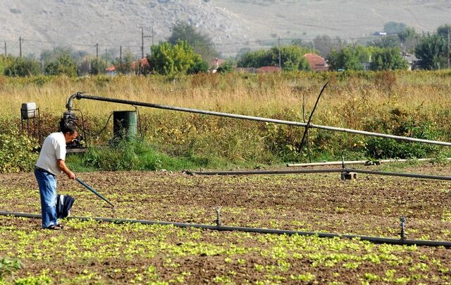 ΕΛΓΑ κατά της γραφειοκρατίας: Νέες υπηρεσίες μέσω διαδικτύου για τους αγρότες