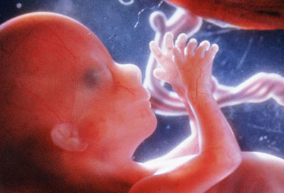 Βίντεο: Το θαύμα της ζωής. Πως το ωάριο γίνεται έμβρυο και μετά παιδί