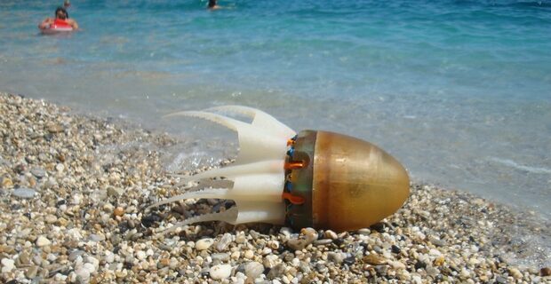 Octobot: Το ρομποτικό χταπόδι που διασχίζει τα νερά της Μεσογείου είναι ελληνικό
