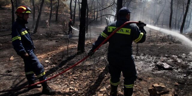 Έβαλε 10 πυρκαγιές σε δάση της Άνδρου