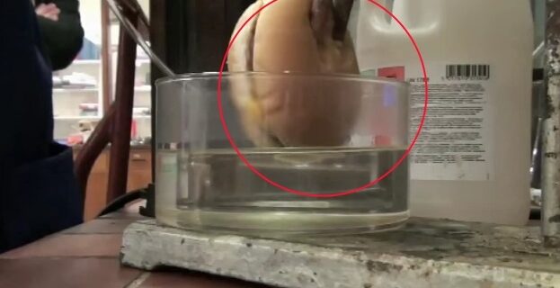 Δείτε πώς χωνεύει το στομάχι μας ένα χάμπουργκερ