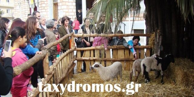 Ο Μπέος έστησε φάτνη με αληθινά ζώα και τον πήγαν στο Α.Τ. Αντιδράσεις στον Βόλο