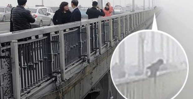 Μηχανή του Χρόνου: Καρέ καρέ το άλμα θανάτου δύο μοιραίων εραστών