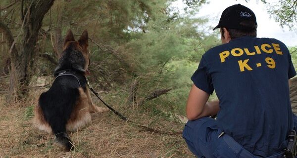 Στον Έβρο τελικά βρίσκονται οι 12 αγνοούμενοι “Τούρκοι” – Λάθος σήμα έδωσε ο ΟΤΕ
