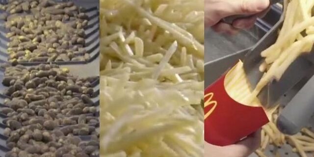 Πως φτιάχνονται οι τηγανητές πατάτες στα McDonalds;