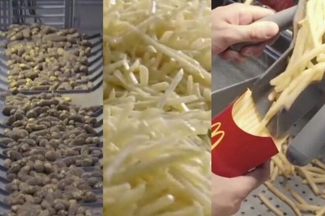 Πως φτιάχνονται οι τηγανητές πατάτες στα McDonalds;