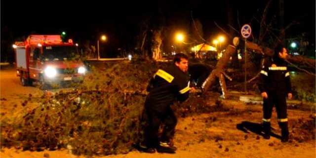 Ισχυρότατοι άνεμοι στην Μυτιλήνη: Μία νεκρή από πτώση δέντρου
