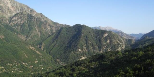Κάλπη-κες Ιστορίες: Φρουρός στο εκλογικό τμήμα Καλής Κώμης