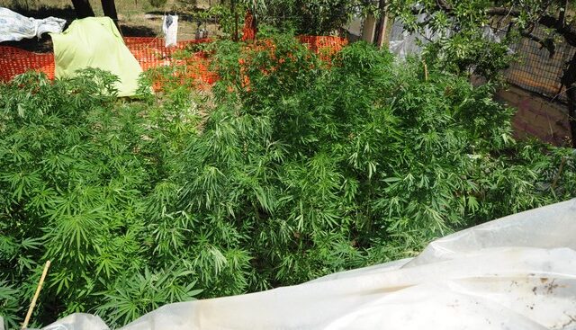 Οι μεζονέτες του Skunk με στόχο 50.000.000€