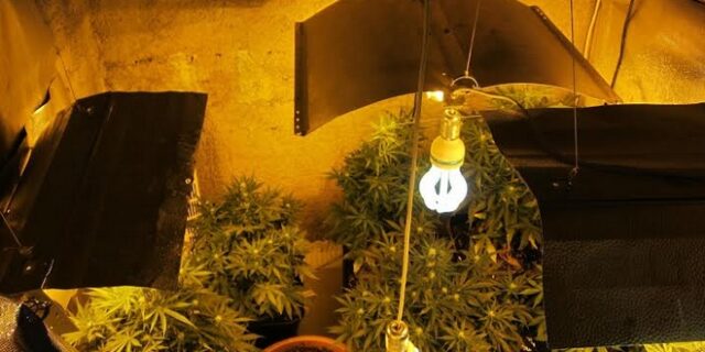 Breaking Bad στην Πάτρα: Εισαγωγέας τροφίμων έφτιαχνε σκανκ στην επιχείρηση του