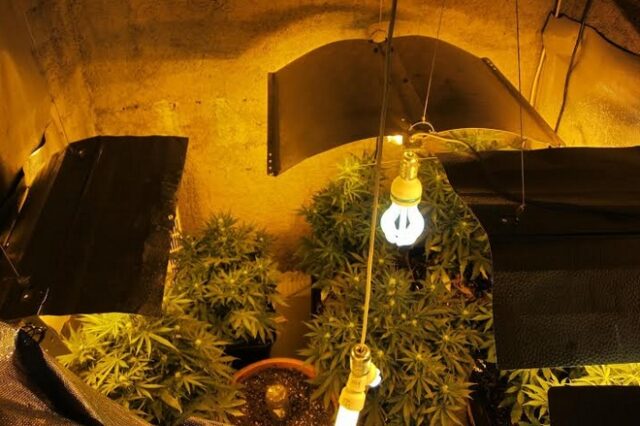 Breaking Bad στην Πάτρα: Εισαγωγέας τροφίμων έφτιαχνε σκανκ στην επιχείρηση του