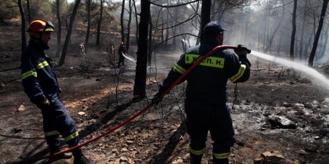 Επτά χρόνια κάθειρξη στον εμπρηστή, που του άρεσε ‘να βλέπει τους πυροσβέστες να τρέχουν’